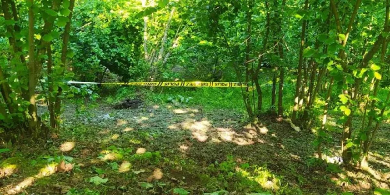 Ordu'da yaşlı adam fındık bahçesinde ölü bulundu