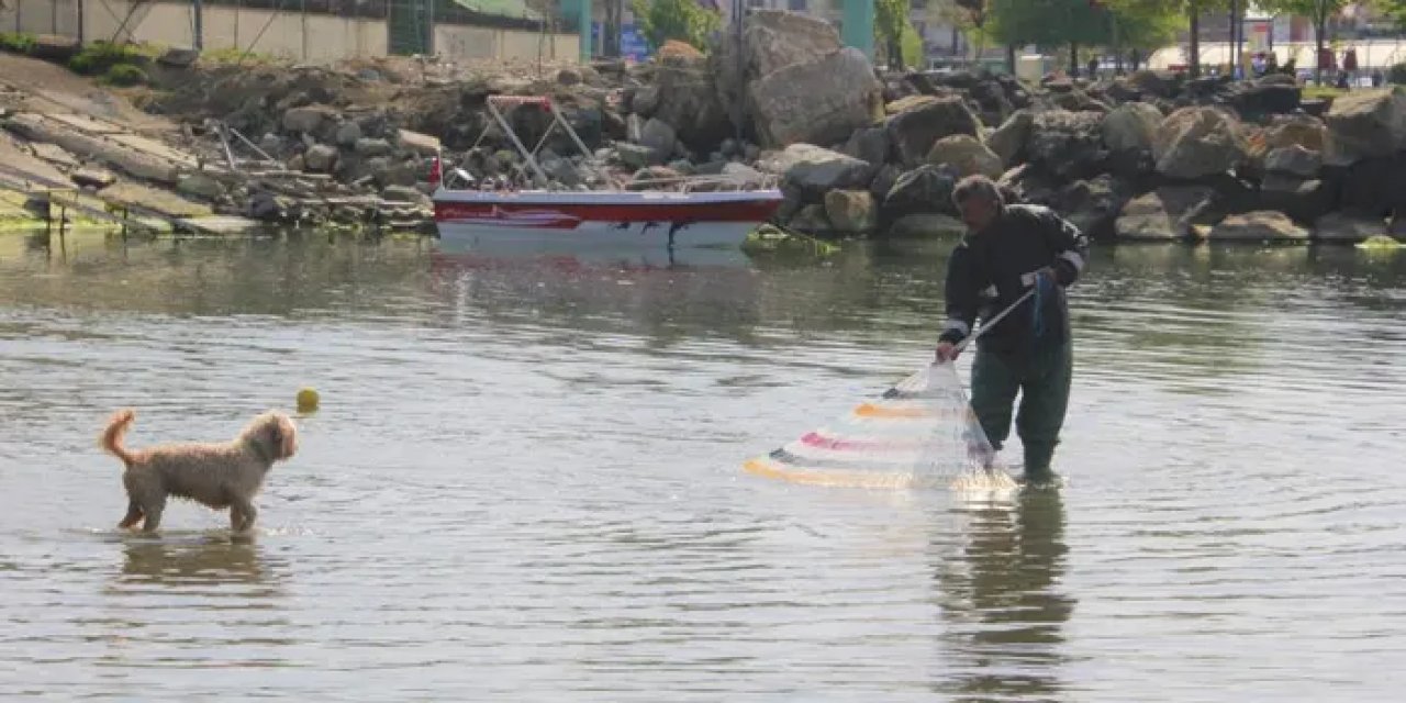 Ordu’da dedesinden öğrendiği saçma avcılığını her gün kullanıyor