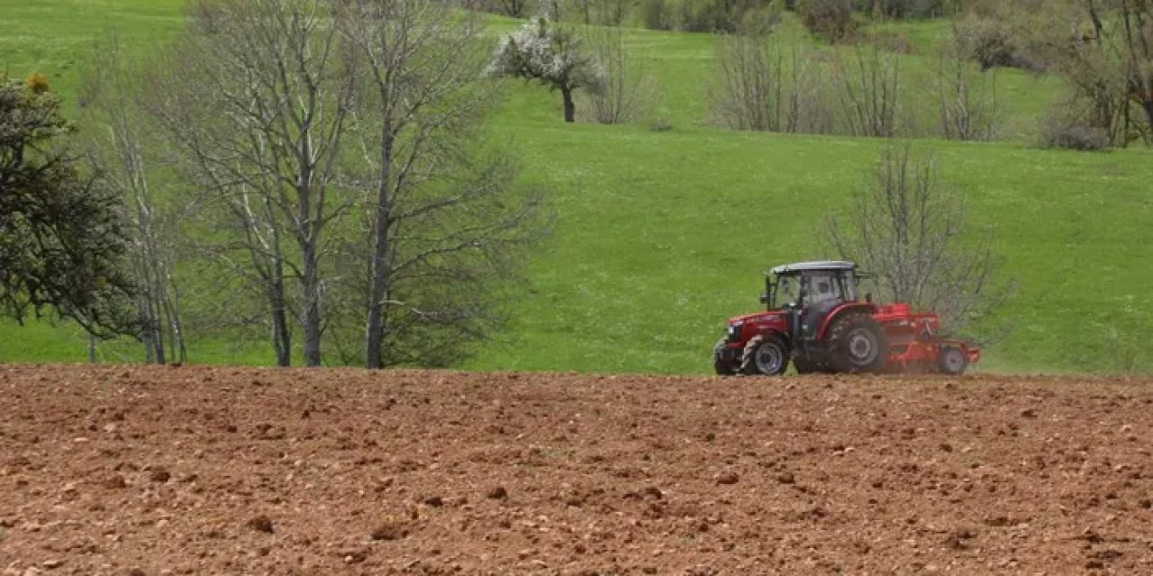 Ordu’da atıl araziler tarıma kazandırılıyor!