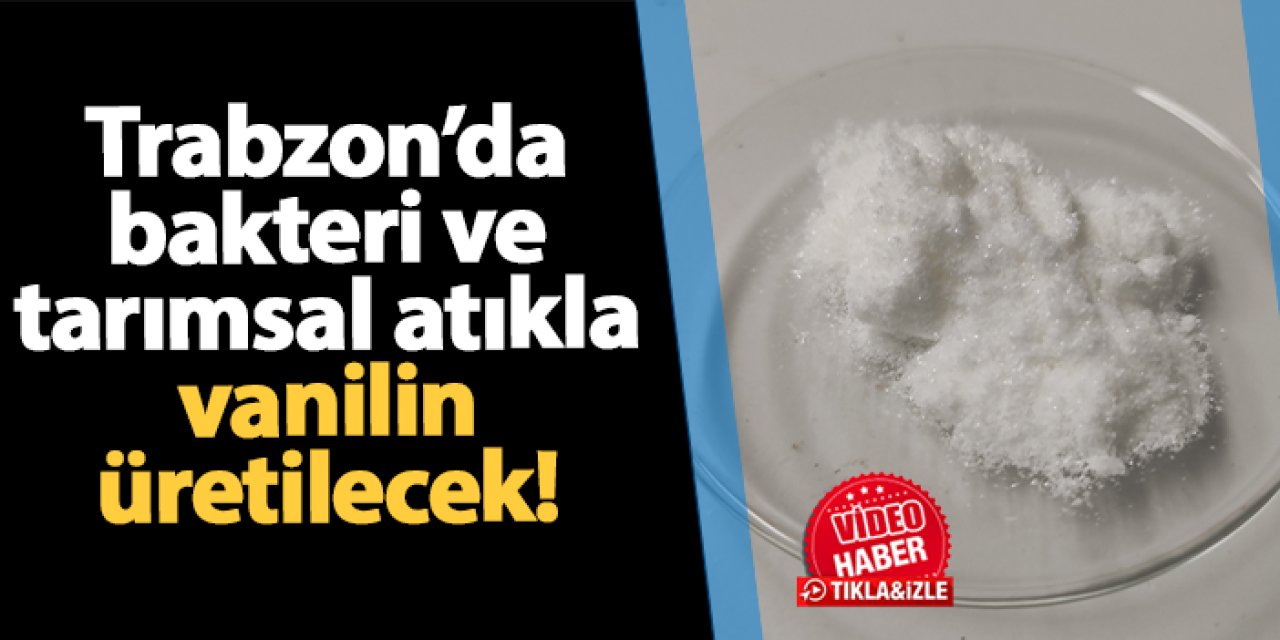 Trabzon'da bakteri ve tarımsal atıkla vanilin üretilecek!