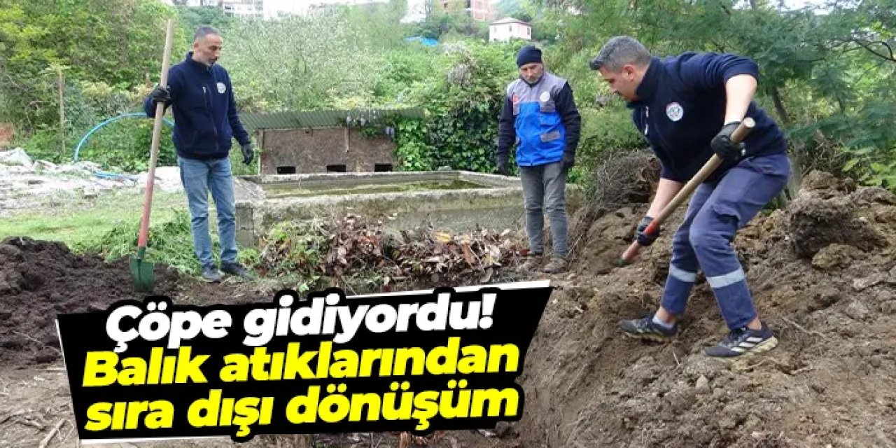 Giresun’da balık atıkları toprağa can oluyor: Hem gübre hem yem üretiliyor