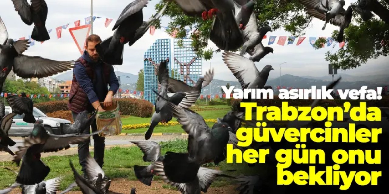 Yarım asırlık vefa: Trabzon’da güvercinler her gün onu bekliyor