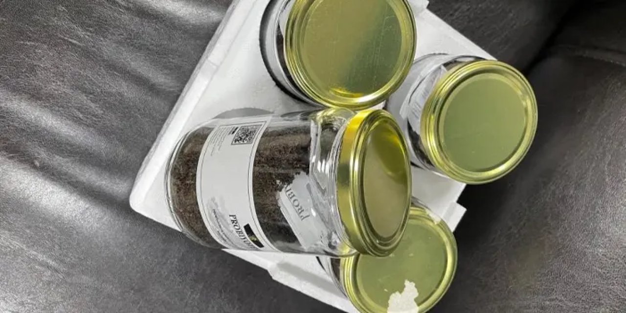 Rize’nin çayı ballandırıldı! Çalışmalar sonuç verdi