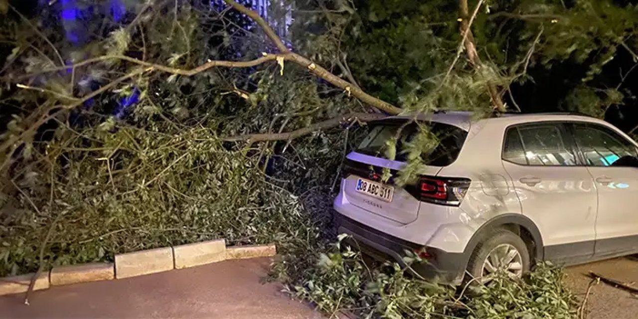 Doğu Karadeniz'de fırtına çatıları uçurdu, ağaçlar devrildi