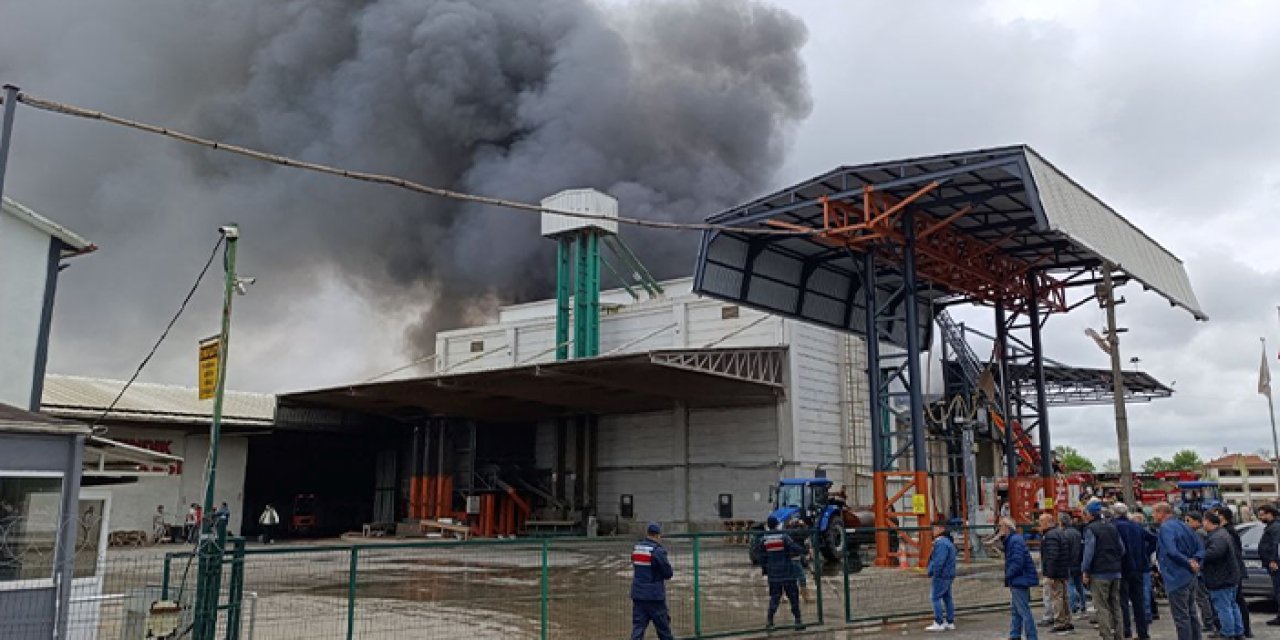 Fındık kırım fabrikasında yangın!