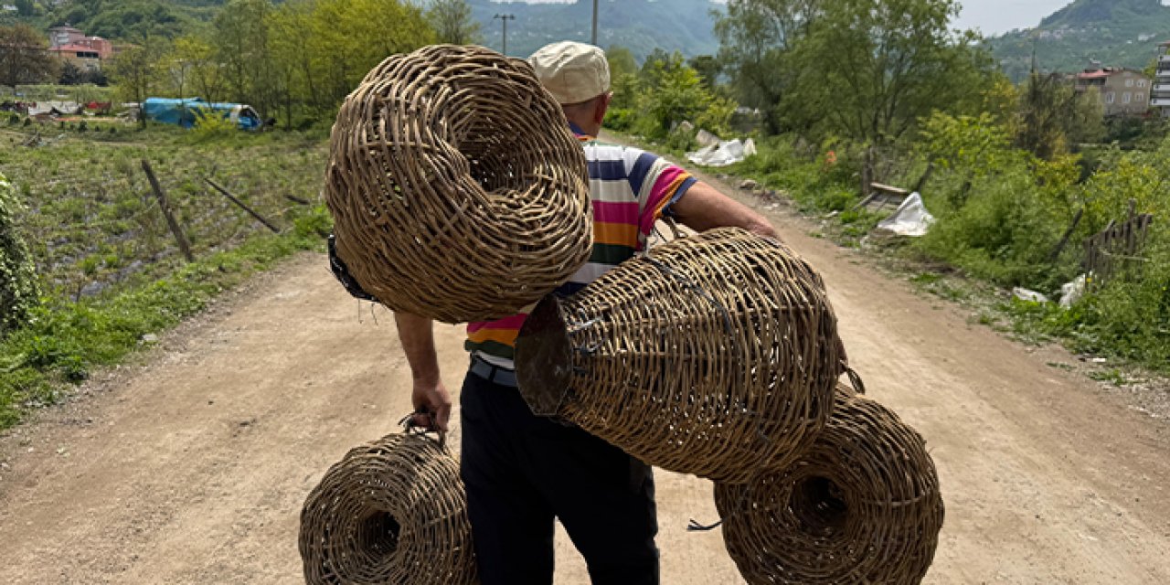 Ordu'da dikenli sarmaşıkları balık sepetine dönüştürüyor