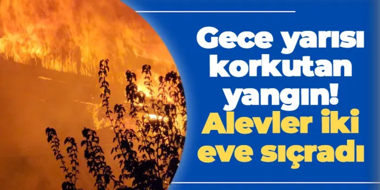 Gümüşhane’de gece yarısı korkutan yangın! Alevler iki eve sıçradı