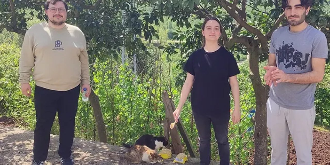 Giresun'da yemek artıkları ziyan olmadı, kediler için mamaya dönüştü!