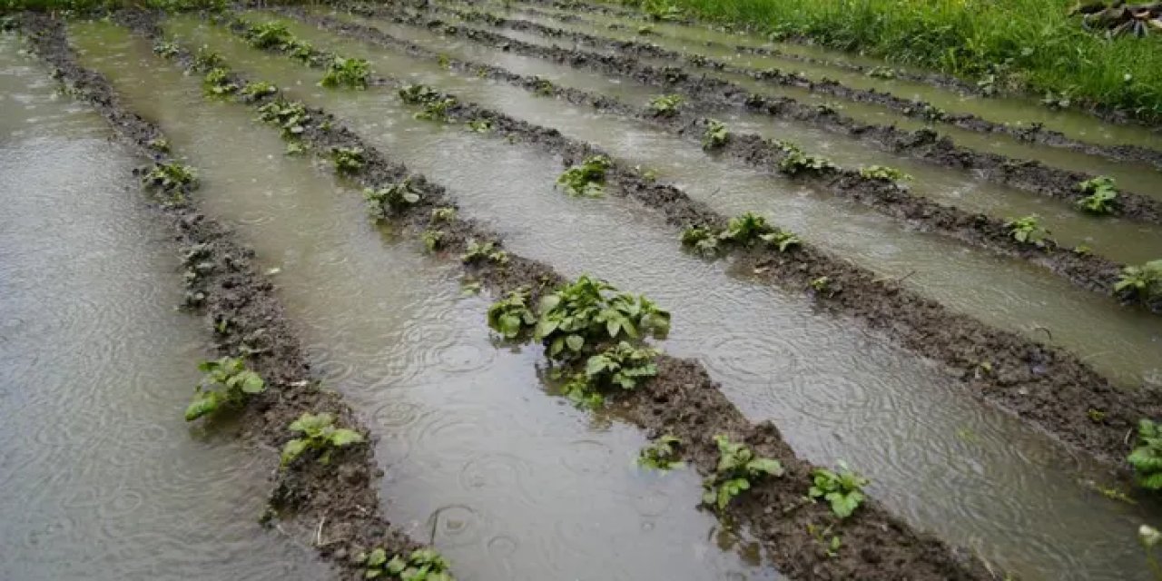 Gümüşhane’de bahçeler sular altında kaldı!