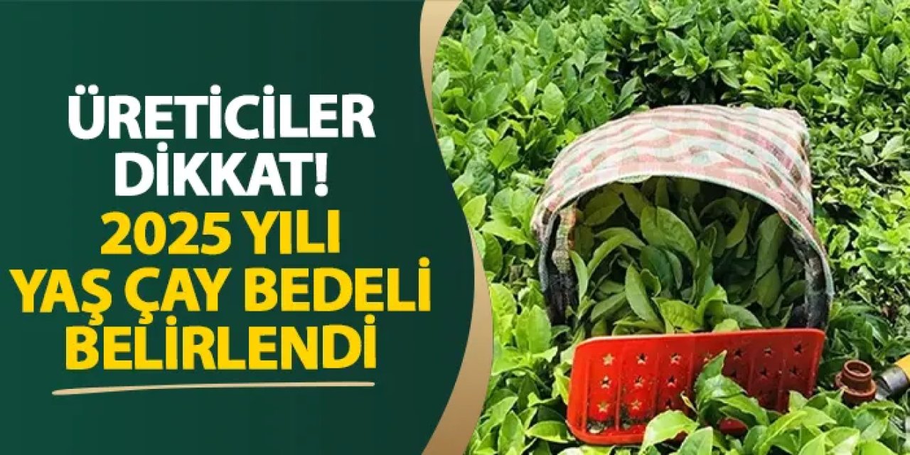 Üreticiler dikkat! 2025 yılı yaş çay bedeli belirlendi