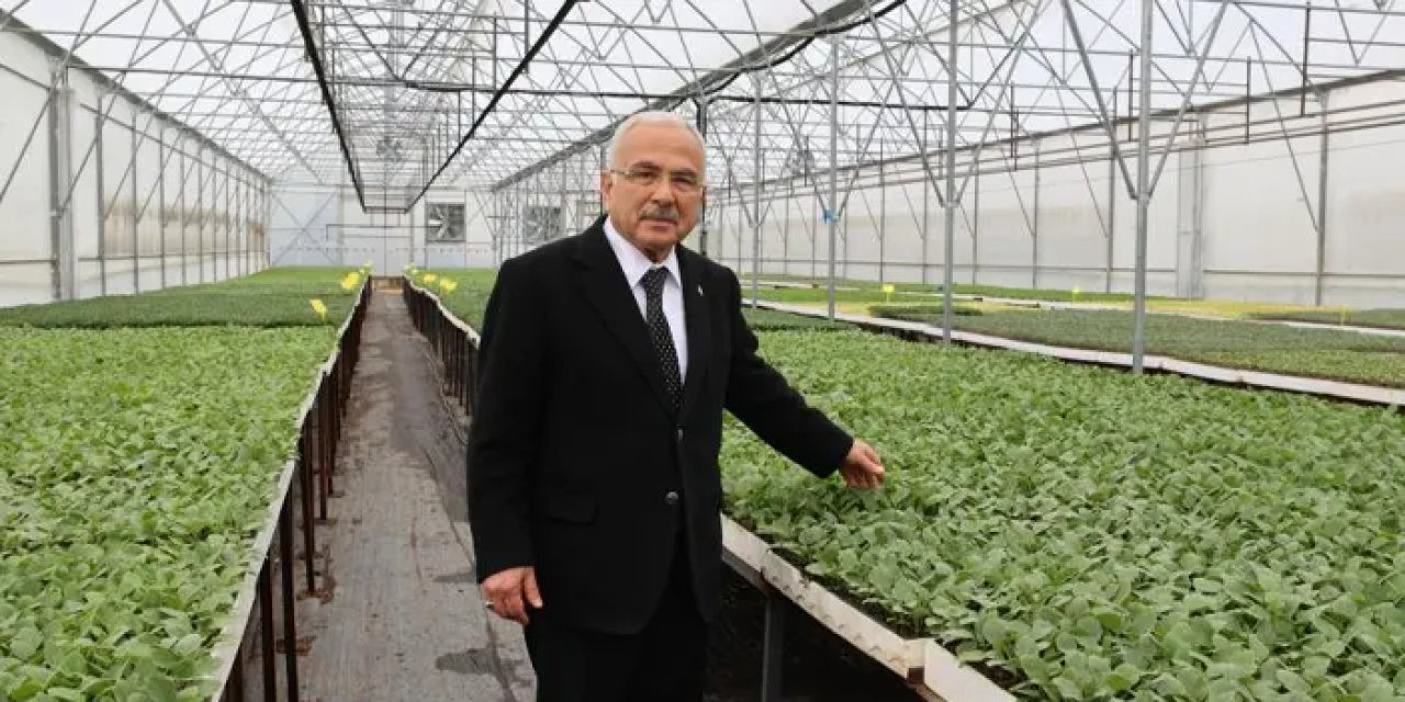 Samsun’da yerli üretim 4 milyon adet fide üreticilere dağıtıldı