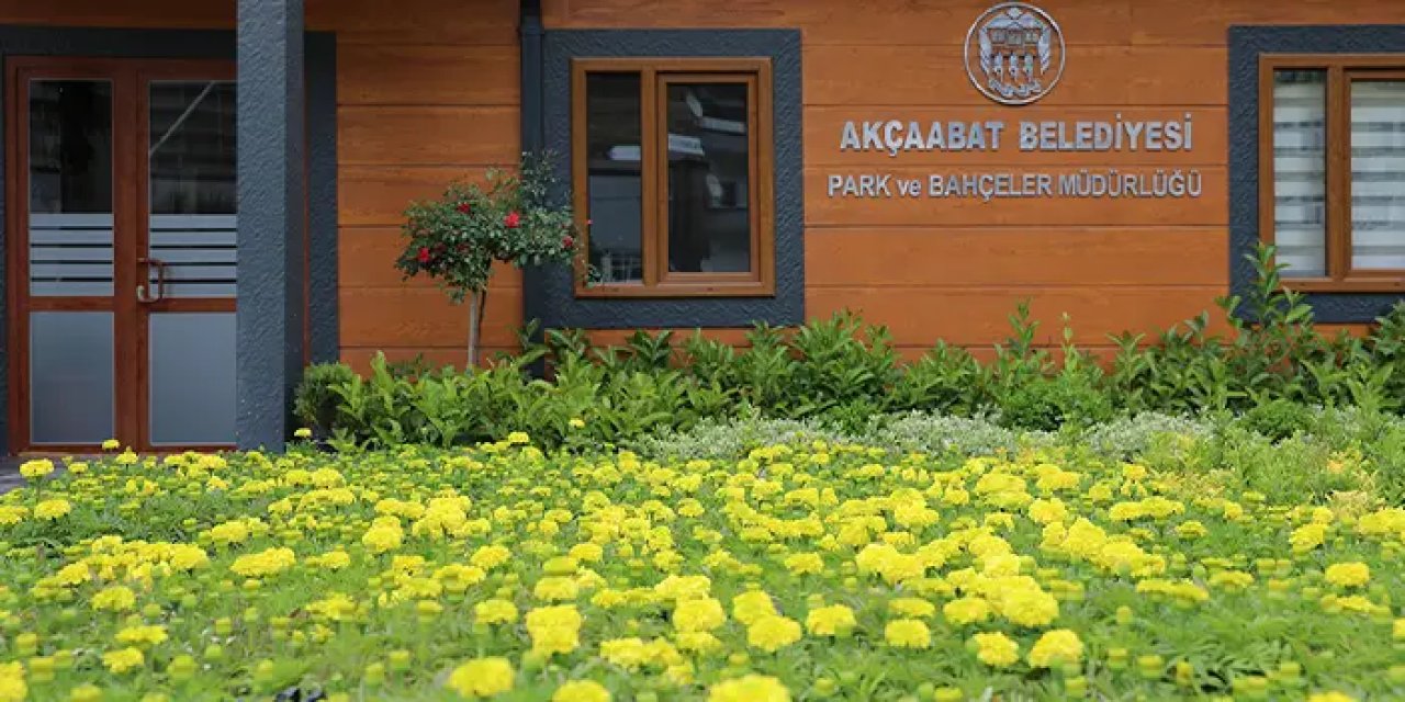 Akçaabat'ta belediye serasında 100 bin çiçek üretildi