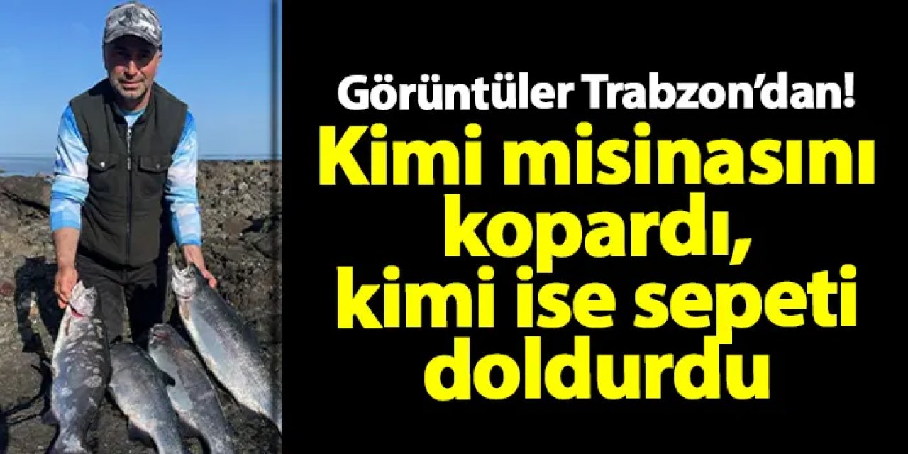 Kimi misinasını kopardı, kimi ise sepeti doldurdu! "Daha önce görmedik..."