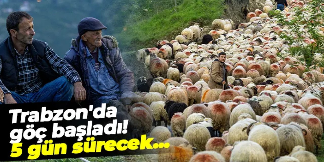 Trabzon'da göç başladı! 5 gün sürecek...
