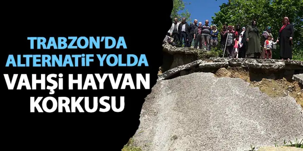 Trabzon'da heyelan sonrası alternatif yolda büyük korku!