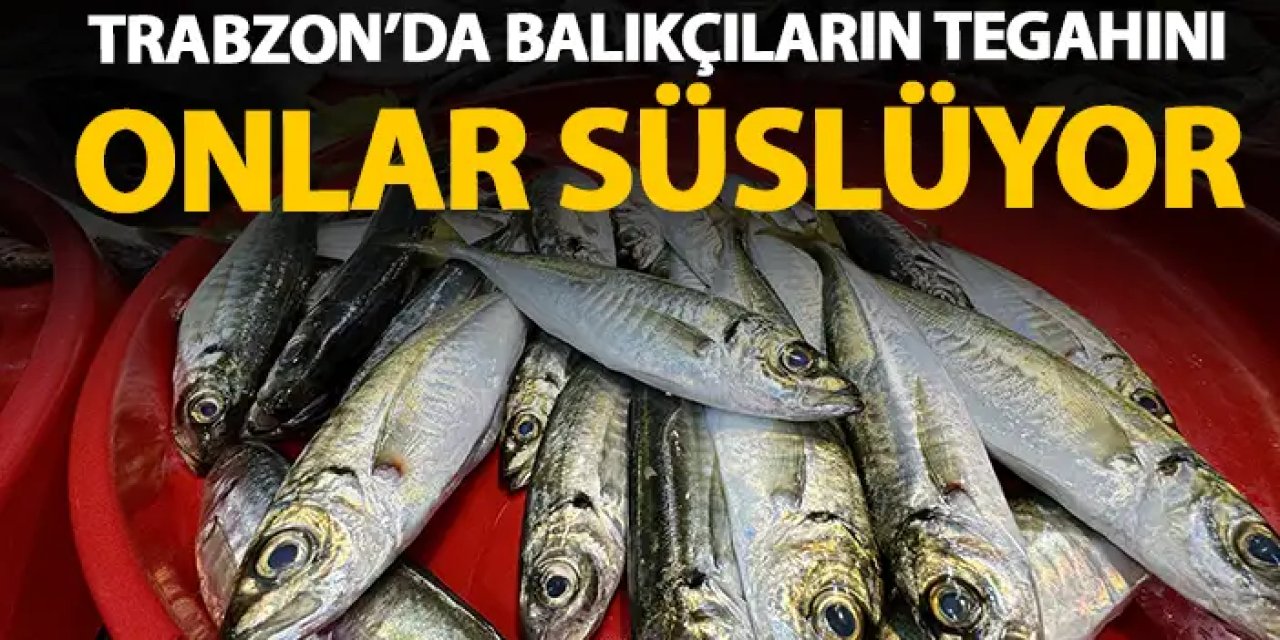 Trabzon'da balıkçıların tezgahında hangi balıklar var?
