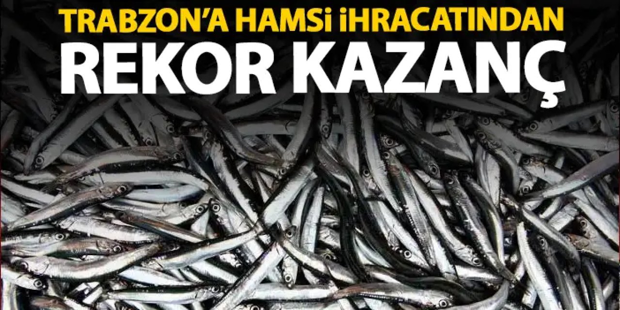 Türkiye'ye hamsi ihracıtandan rekor kazanç!