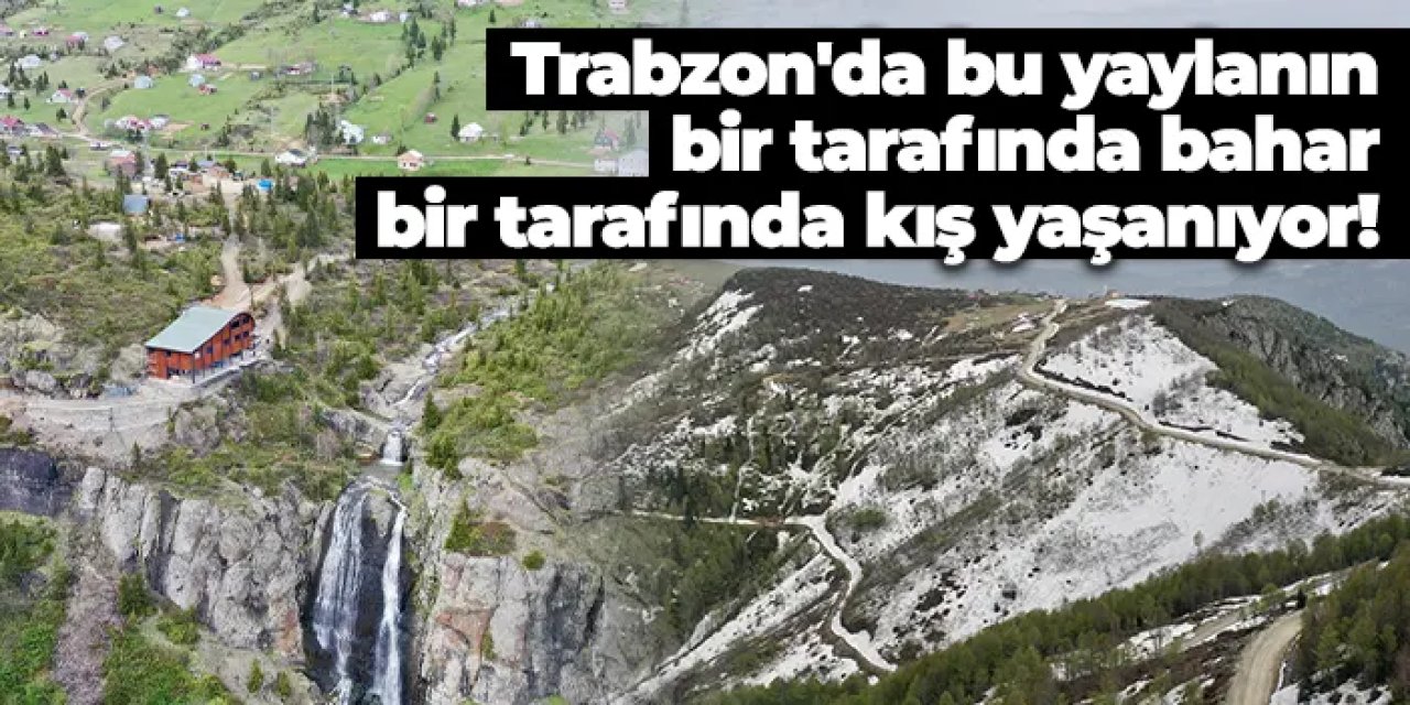 Trabzon'da bu yaylanın bir tarafında bahar bir tarafında kış yaşanıyor
