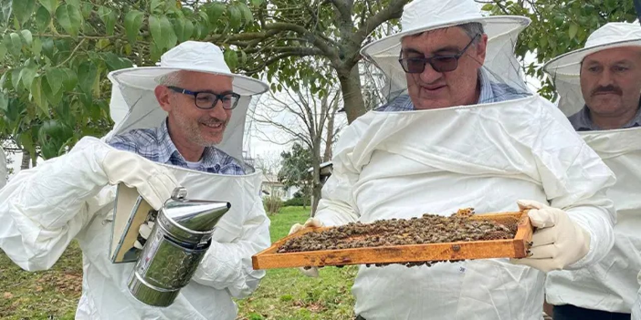 Ordu'dan 30 ülkeye arıcılık eğitimi!