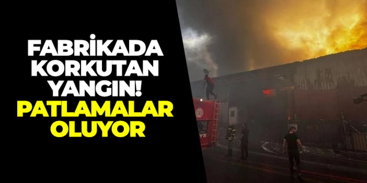 Mersin'de fabrikada korkutan yangın! Patlamalar oluyor