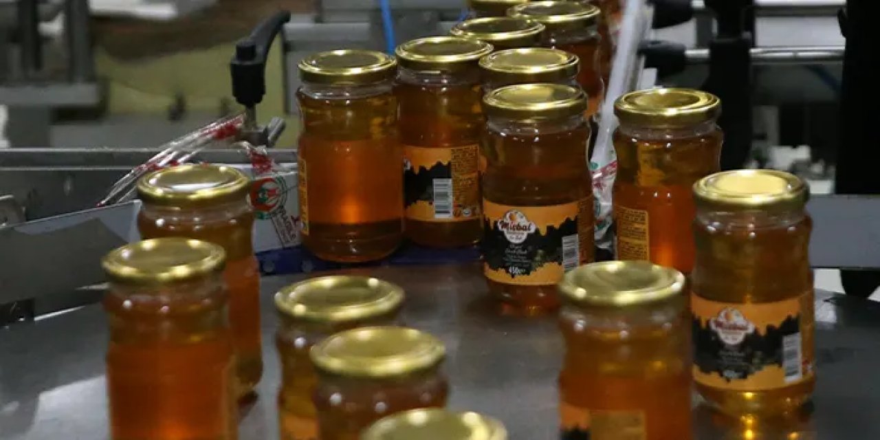 Ordu’dan bal ihracatında rekor hedef: Gözler 1000 tonluk eşiğe çevrildi
