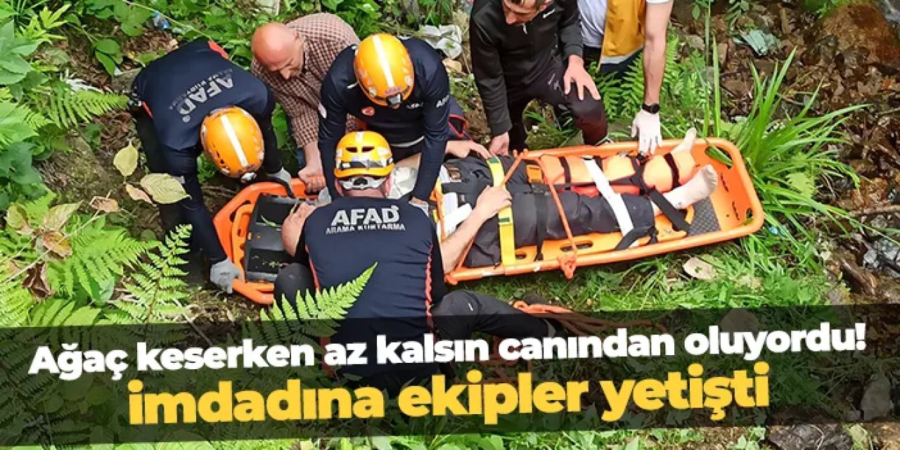 Rize'de ağaç keserken az kalsın canından oluyordu! İmdadına ekipler yetiştir