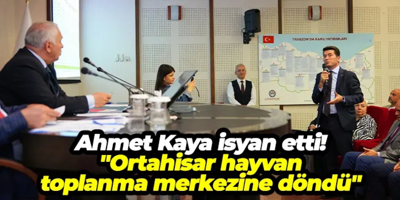 Ortahisar Belediye Başkanı Ahmet Kaya isyan etti: "Ortahisar hayvan toplanma merkezine döndü"