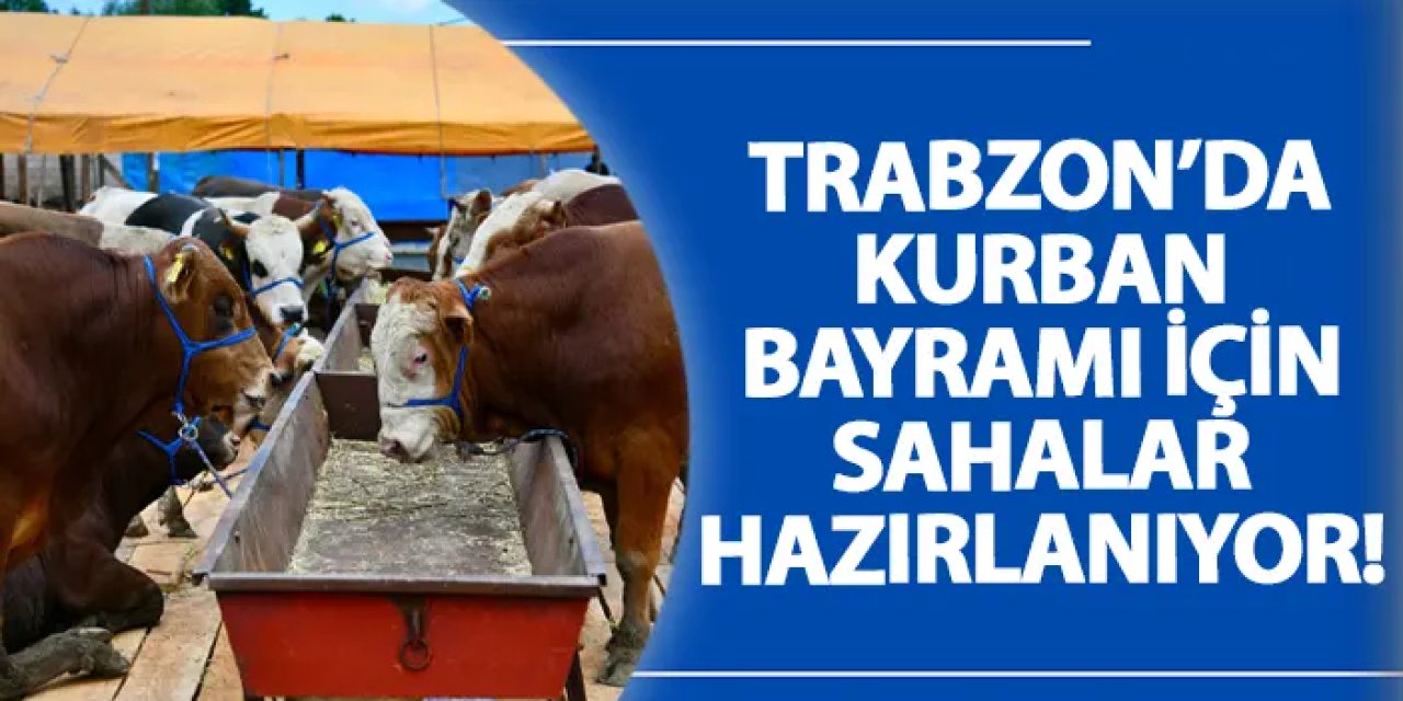 Trabzon’da Kurban Bayramı için sahalar hazırlanıyor!