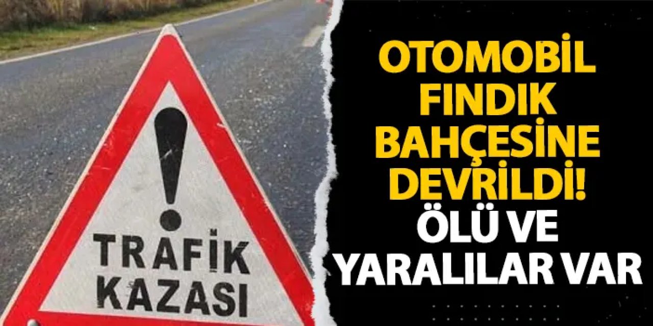 Giresun’da otomobil fındık bahçesine devrildi! Ölü ve yaralılar var