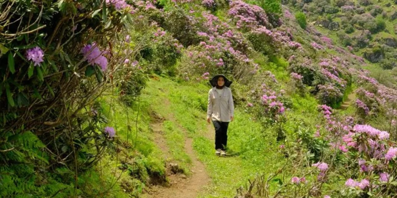 Gümüşhaneli dağcılardan Sis Dağı’nda kamp!