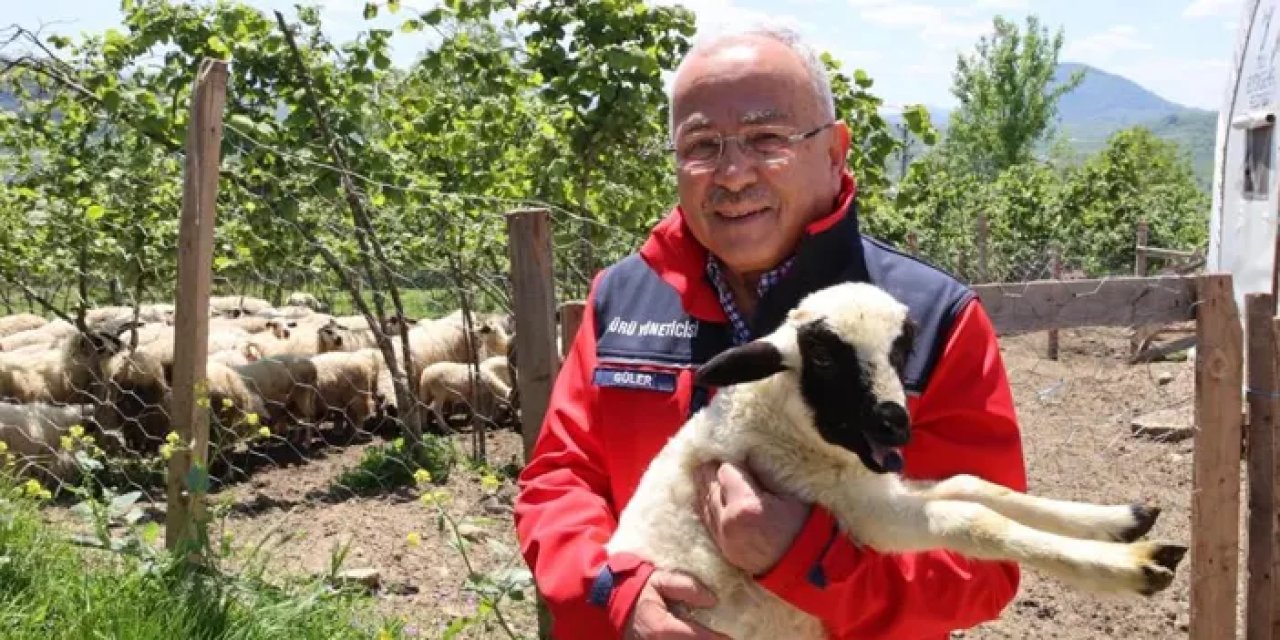 Samsun Büyükşehir Belediye Başkanı Güler kurban hazırlıklarını anlattı