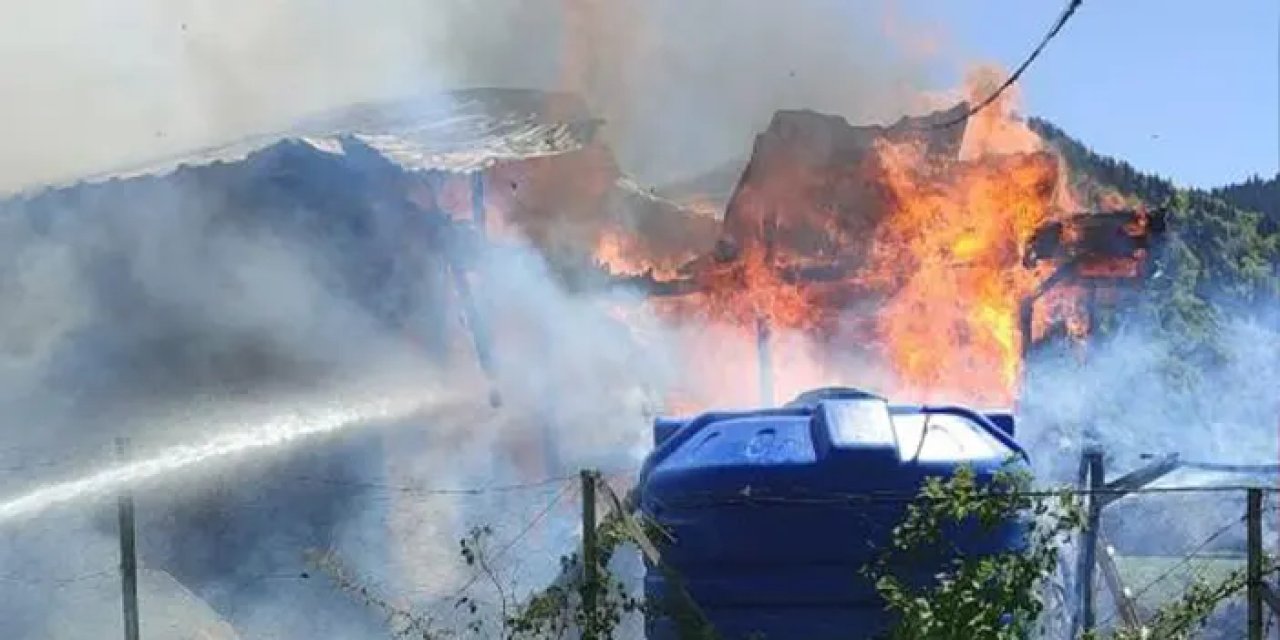 Artvin'de müstakil ev yangında küle döndü!