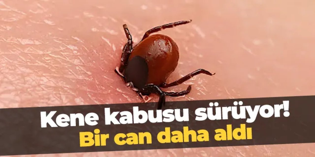 Sivas’ta Kene Isırığı Sonrası KKKA Şüphesiyle Genç Hayvan Çiftçisi Hayatını Kaybetti