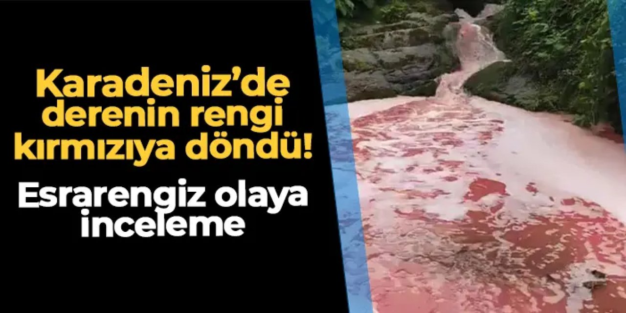 Rize'de derenin rengi kırmızıya döndü! Esrarengiz olaya inceleme