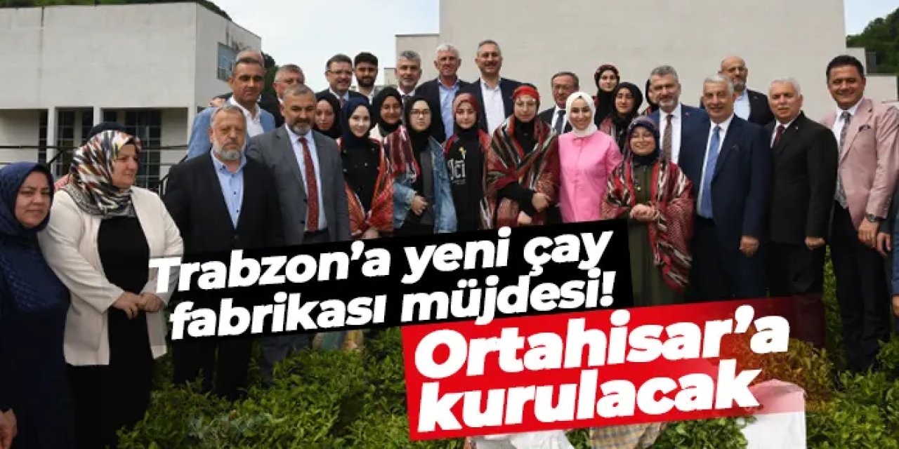 Trabzon’a yeni çay fabrikası müjdesi! Ortahisar’a kurulacak