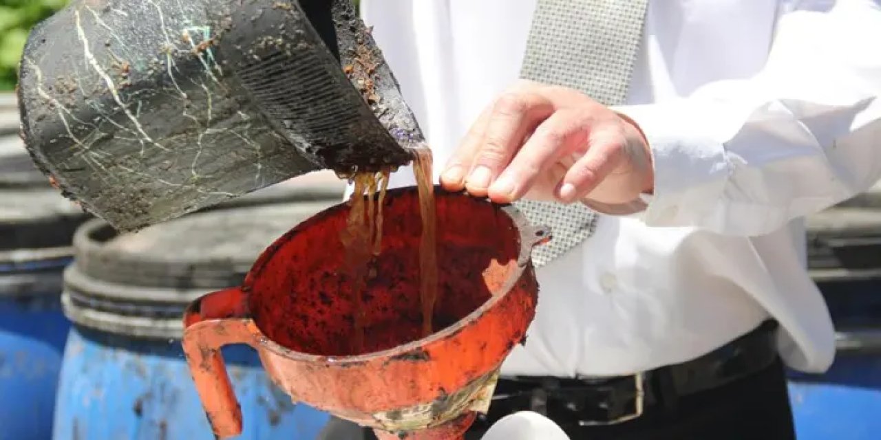 Kahverengi kokarcaya sıvı balık gübreli önlem