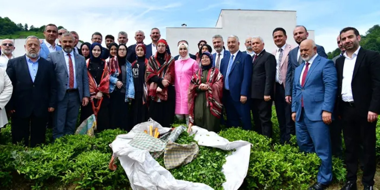 Trabzon'da yaş çay sezonu törenle başladı