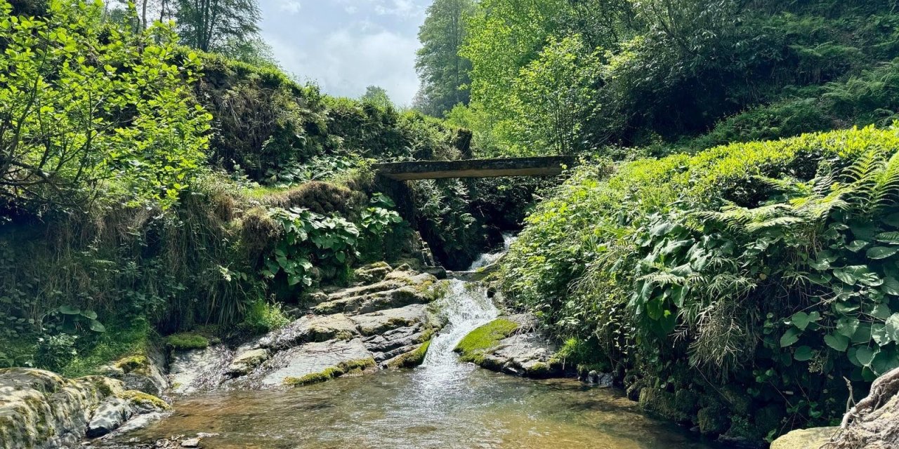 Rize'de korkutan görüntüler! İnceleme başlatıldı