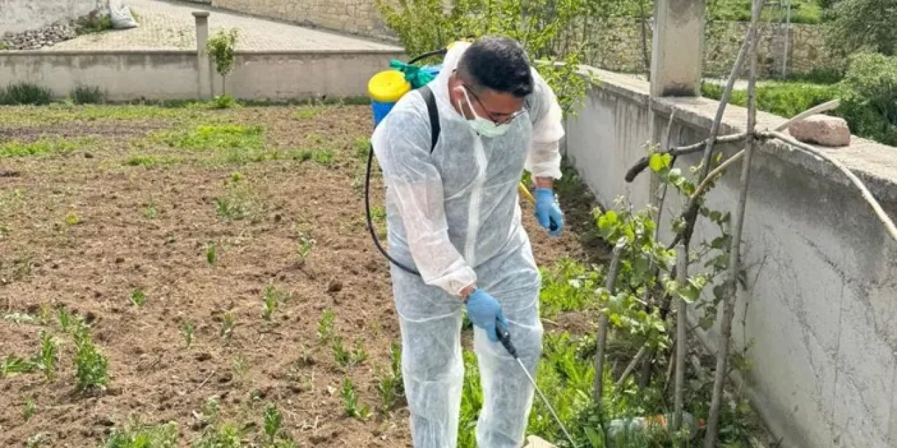 Bayburt’ta yabancı ot mücadelesi başlatıldı!