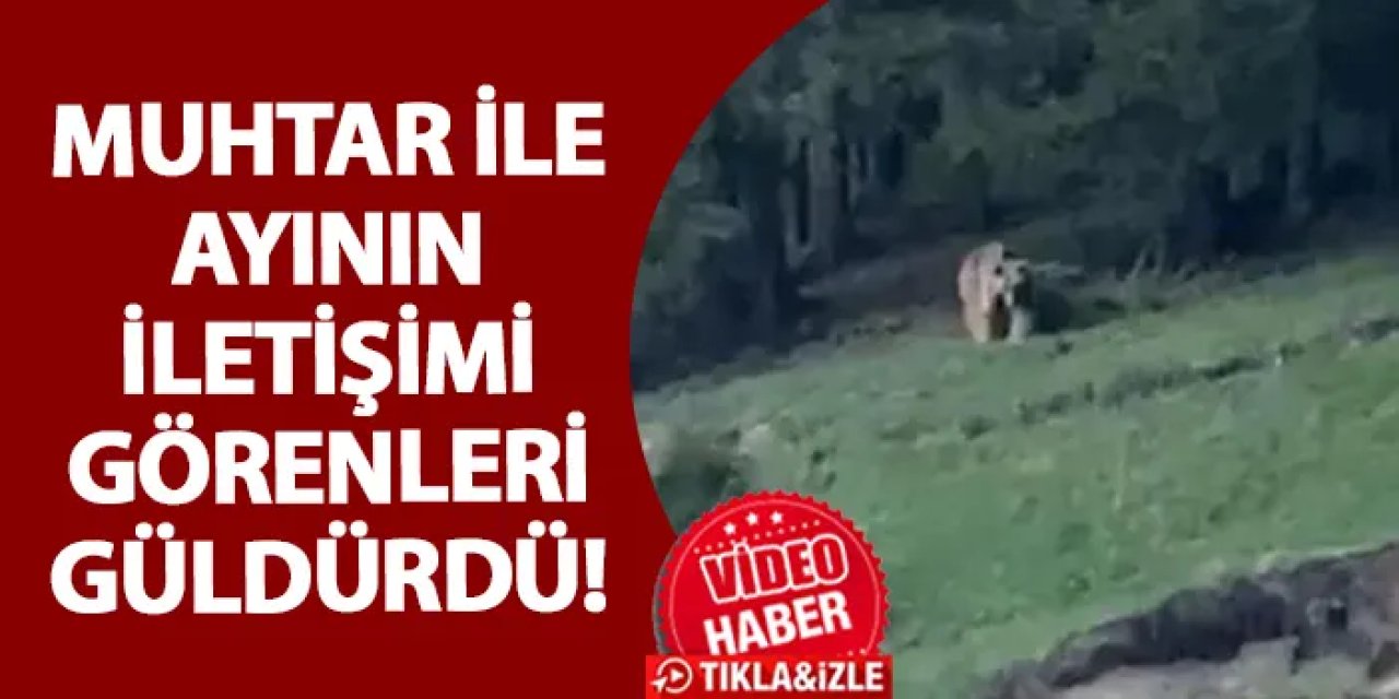 Rizeli muhtar ile ayının iletişimi görenleri güldürdü!