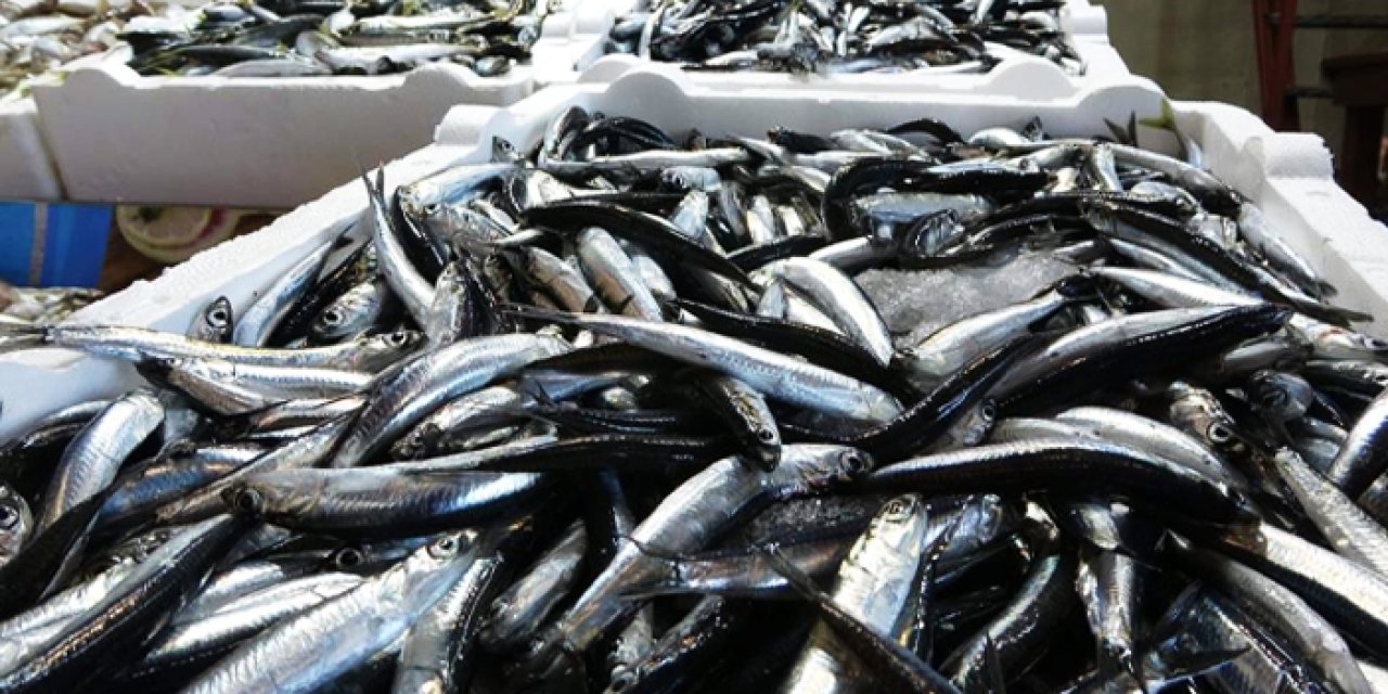 Trabzon’da balık için tedirgin eden açıklama: "Stoklar azalıyor"