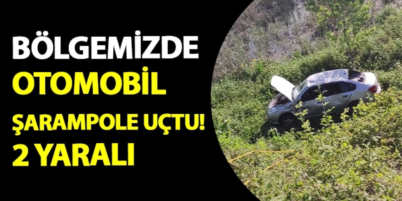 Bölgemizde otomobil şarampole uçtu! 2 yaralı