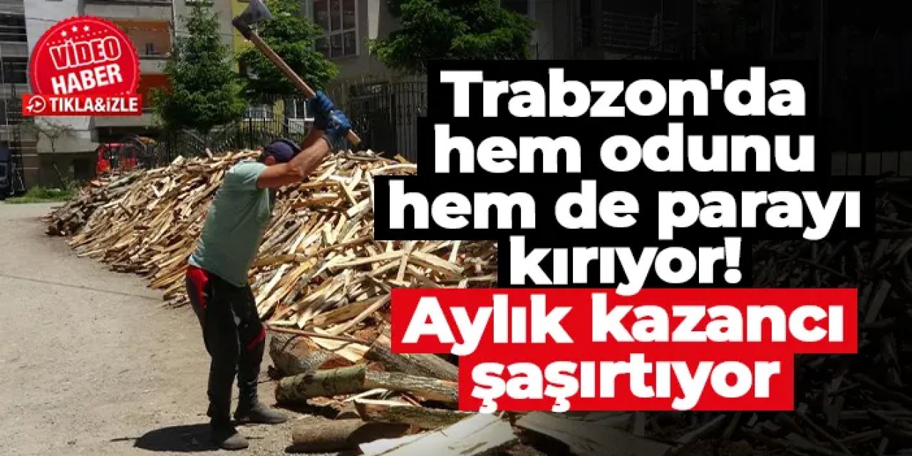 Trabzon'da hem odunu hem de parayı kırıyor! Aylık kazancı şaşırtıyor