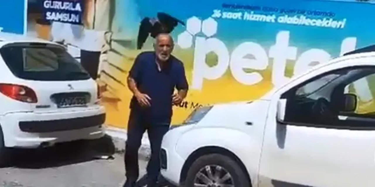 Samsun’da karga yaşlı adama saldırdı! Yavruyu kurtarayım derken hedef oldu