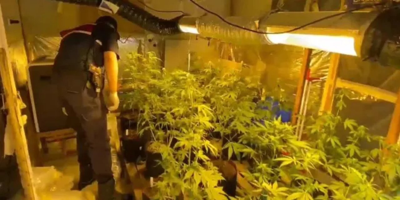 Samsun’da yakalanmamak için keneviri evine ekti! Yine de kaçamadı