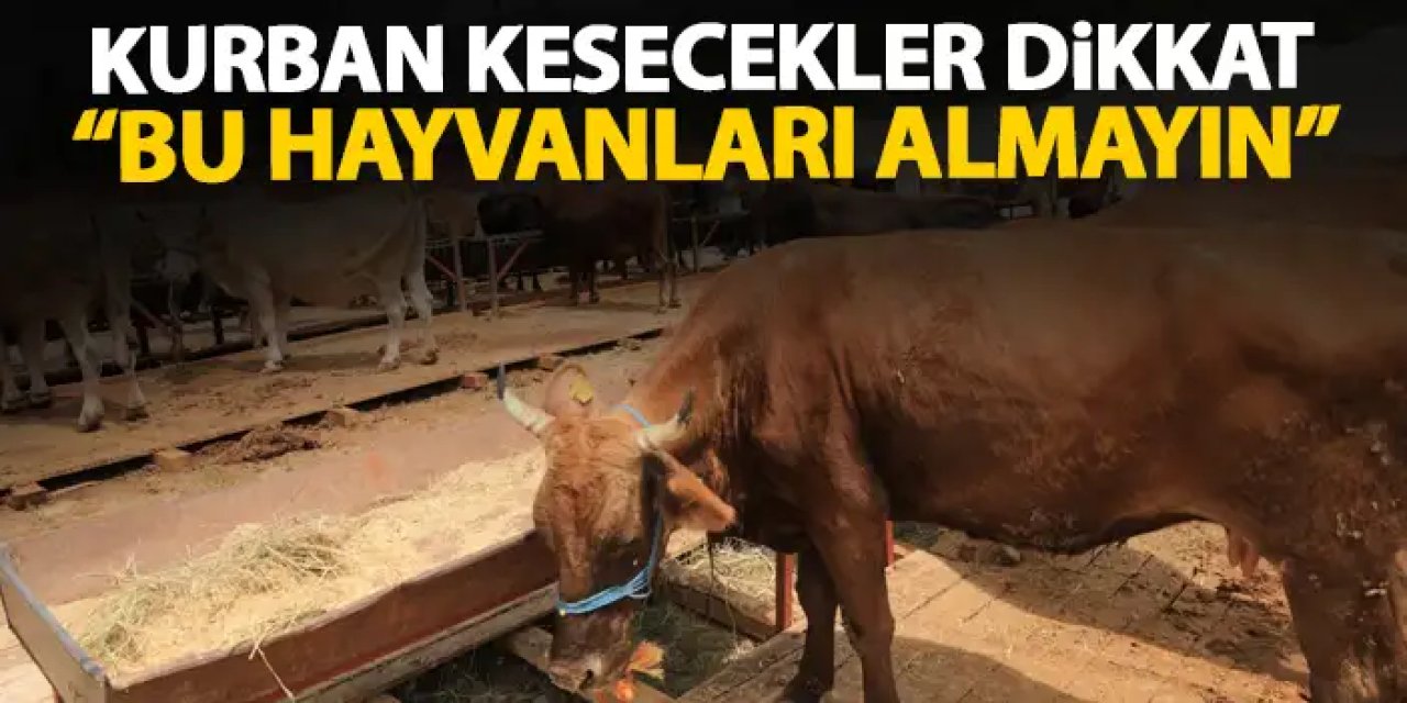 Trabzon'dan vatandaşlara kritik uyarı "Bu hayvanları almayın"