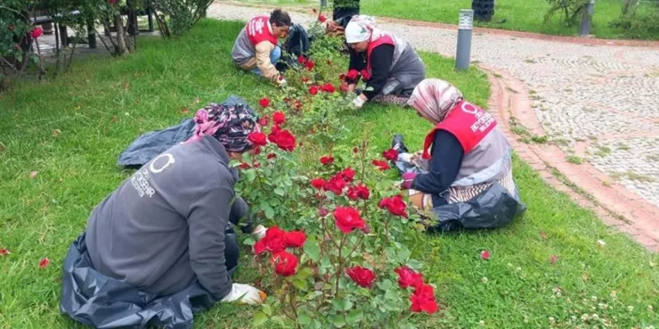 Ordu’nun dört bir yanı çiçeklerle donatıldı!