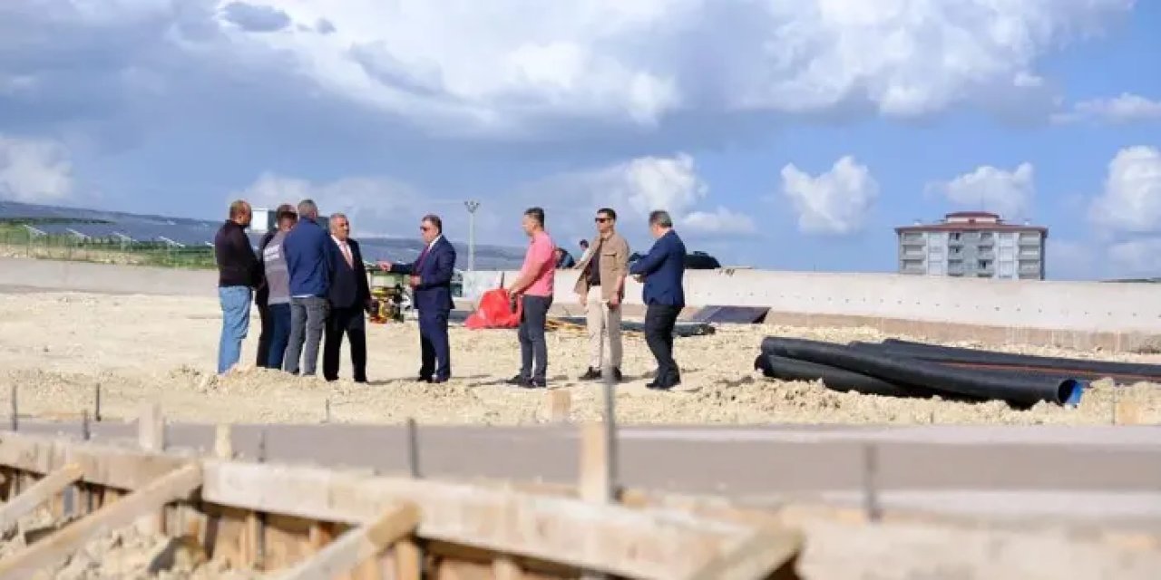 Bayburt’ta sokak hayvanlarına yeni yuva: Doğal yaşam alanı yolda