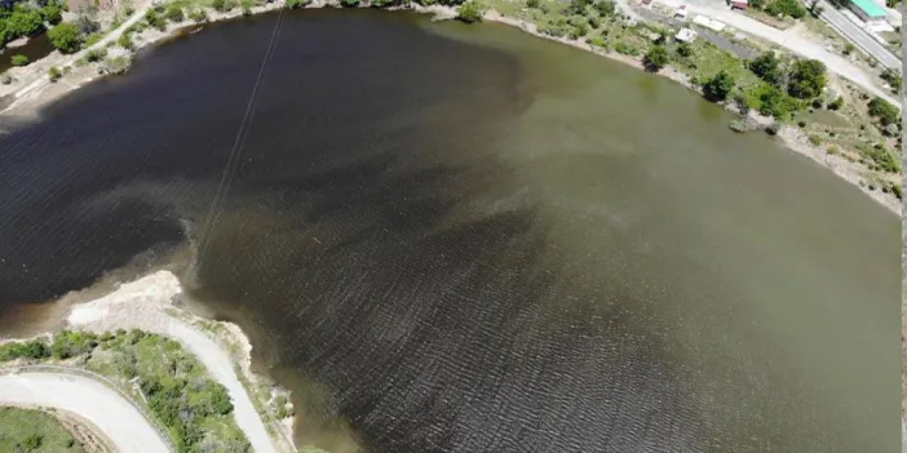 Torul Barajı'nda alg patlaması! Uzmanlar uyardı: Ekosistem tehlikede