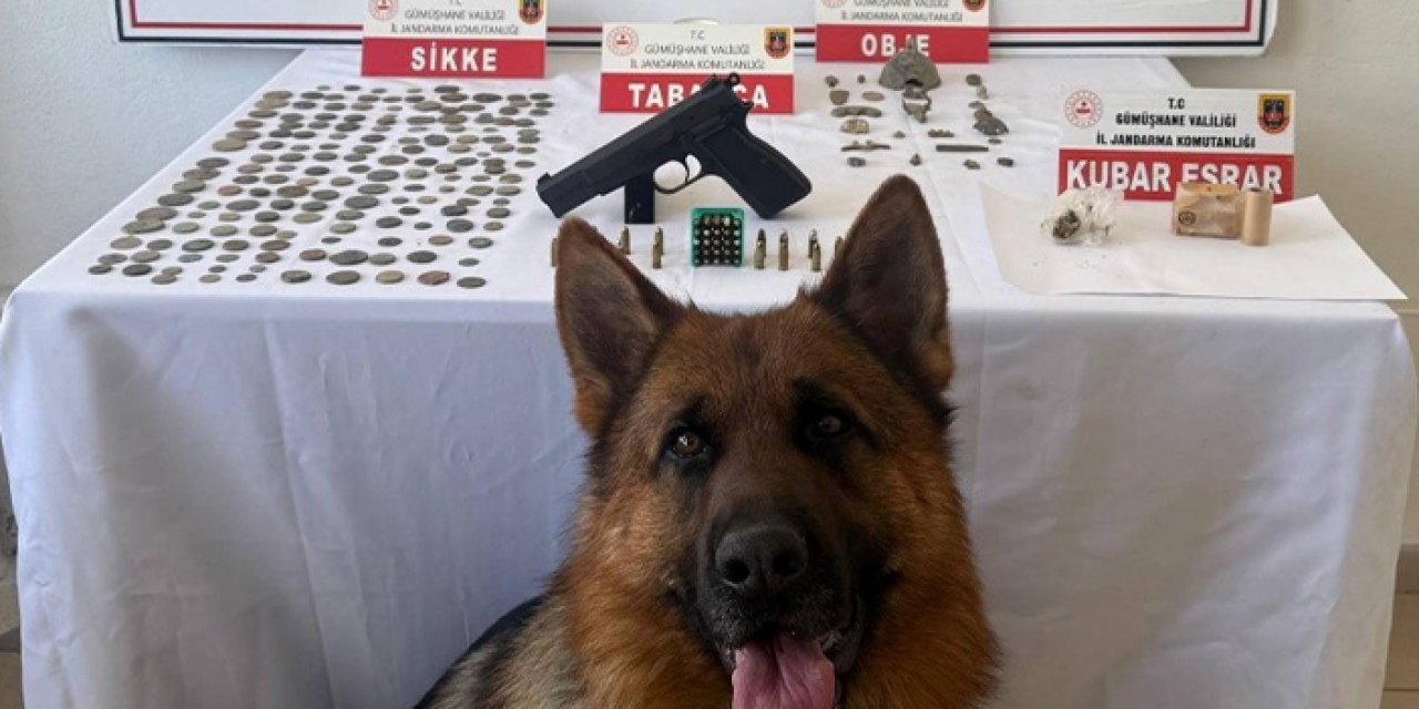 Gümüşhane'de 165 sikke ele geçirildi